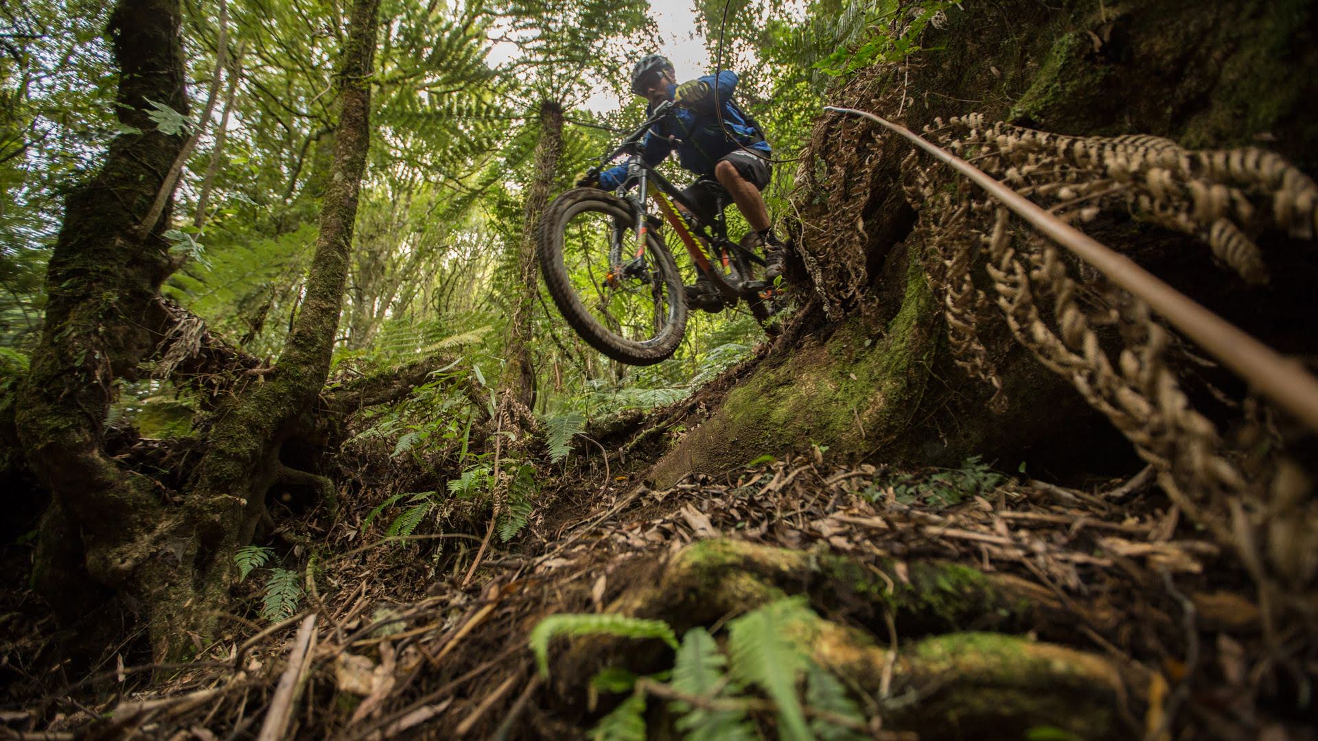 Mountain biking down a bank on the 42 Traverse Trail - Visit Ruapehu.jpg